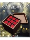 Cube Vision 1-1-6 Trick