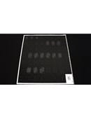 Darkfall Playing Card Uncut Sheet Deck of Cards