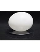 Deluxe Latex  Egg-Tissue to Egg Routine Accessory
