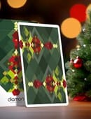 Diamon Playing Cards N° 24 Deck of Cards