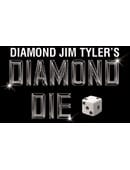 Diamond Die Accessory