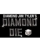 Diamond Metal Puzzle - Diamond Jim Tyler