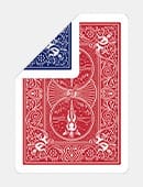 Double Back Playing Cards (Bicycle) Deck of Cards
