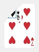 Double Face Playing Cards (Bicycle) Deck of Cards
