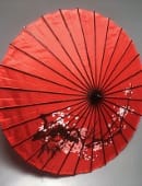 Dragon Parasol Set (Red) Trick
