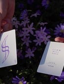 Dream of Butterflies Trick