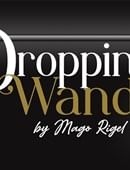 Dropping Wand Trick