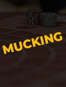 Dustin Marks - Mucking Magic download (video)