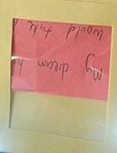 Envelopes for Dream Prediction Elite (10 pack) Refill