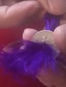 Feather Thru Coin Trick