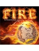 Fire Accessory