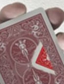 Flash Flight (with Gimmick) Trick