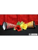 Flower & Cone Mystery Trick