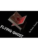 Flying Ghost Magic download (video)