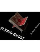 Flying Ghost Video download