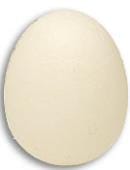 Foam Egg  Accessory