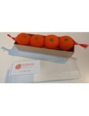 Fruit Sponge Ball (Orange) Accessory