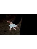 Fubiz Video download