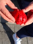 Gear Egg Puzzle
