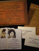 Gemini Files Trick