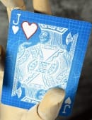 Gilded Bicycle Draft Playing Cards Deck of Cards