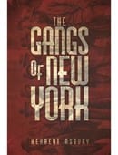 Godfather Book Test Book