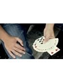 Groove Electric Switch Magic download (video)