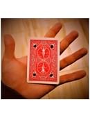 Hallucination Magic download (video)