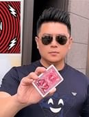 Hallucination  Trick