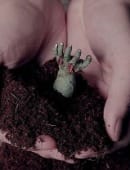 Zombie Hand Trick