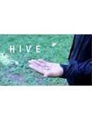 HIVE Magic download (video)