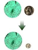 Ickle Pickle Nickle Trick