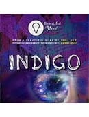 INDIGO Trick