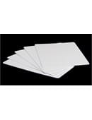 Insight Double Blank Cards Trick