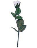 Instant Rose Creation Trick