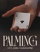 The Expert Palming Session Video download