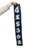 Jumbled Numbers Trick