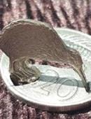 Kiwi Coin Trick