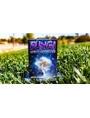 Fungi Mystic Mushrooms Playing Cards Deck of Cards