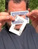 LinkCard Trick