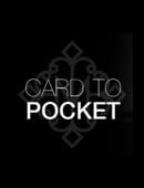 Madison Card to Pocket Magic download (video)