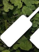 Magic Board Paddles Trick