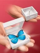 Magic Butterfly Trick