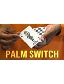 Palm Switch & Palm Control Video download