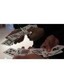 Magic Encarta Presents The Royal Flash Magic download (video)