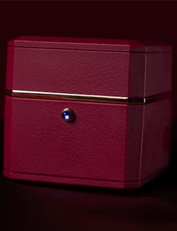 Magic Ring Box Trick