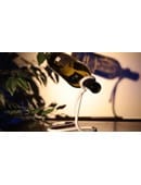 Magic Rope Bottle Holder Trick