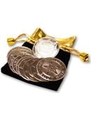 Palming Coin - Magic Wishing Coins (10-Pack | Alan Wong) Gimmicked coin