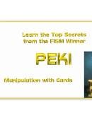 Manipulation with Cards  Video download