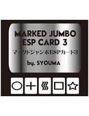 Marked Jumbo ESP Cards Deck of Cards
